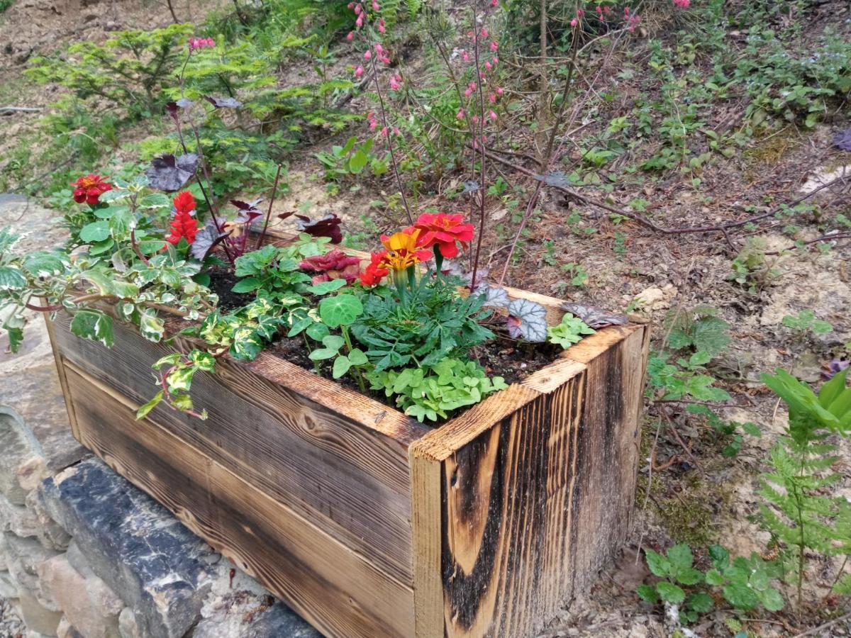 Osada Sroczy Jar Villa Rozpucie Exterior foto
